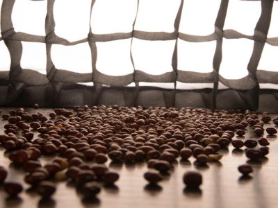 รู้จัก Bio Bean เปลี่ยนขยะกากกาแฟให้กลายเป็นพลังงานเชื้อเพลิง