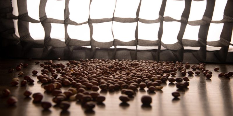 รู้จัก Bio Bean เปลี่ยนขยะกากกาแฟให้กลายเป็นพลังงานเชื้อเพลิง
