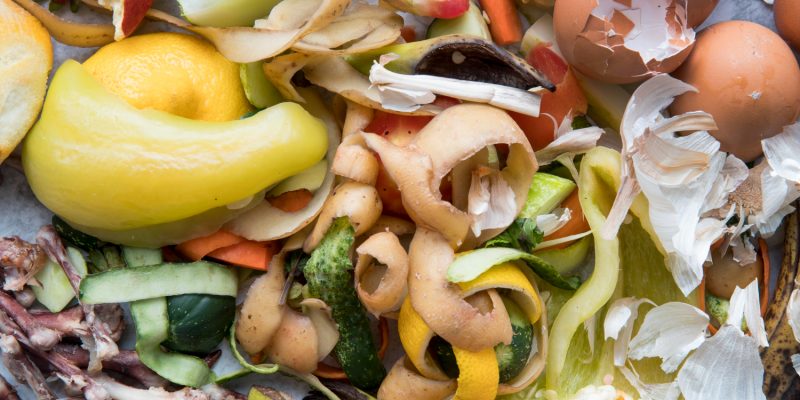 Food waste นวัตกรรมกำจัดอาหารขยะล้นโลก