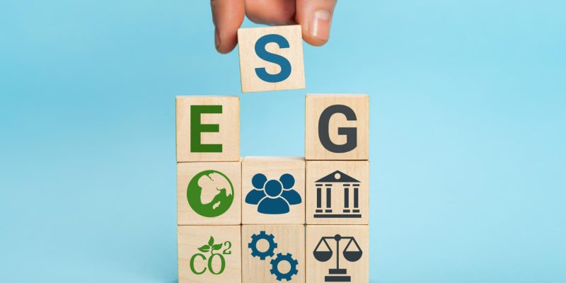 ESG STANDARD มีอะไรบ้าง