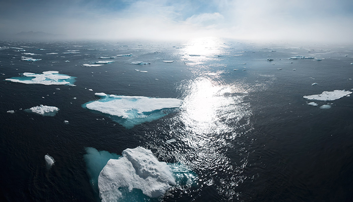 น้ำทะเลร้อนขึ้น น้ำแข็งละลาย โลกร้อนกระทบทั้งมนุษย์และสัตว์
