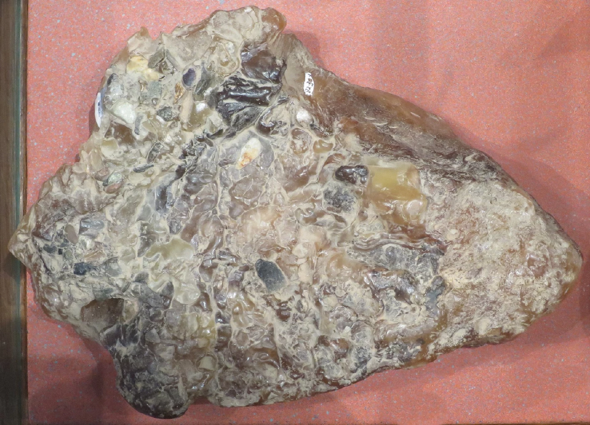 อ้วกวาฬ หรือ Ambergris ไอเทมแรร์สุดล้ำค่าของวาฬหัวทุย