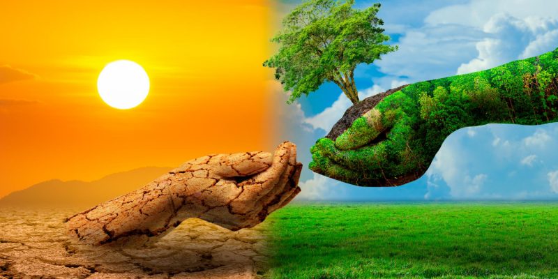 20 วิธีป้องกันอากาศร้อน แบบรักษ์โลก