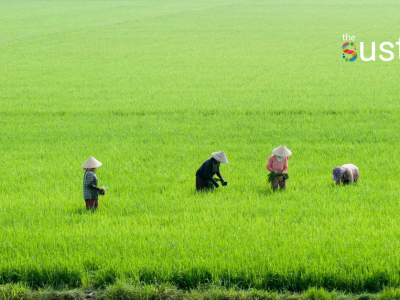 เกษตรฟื้นฟู มีสำคัญยังไง ทำไม ถึงเป็นทางออกของวิกฤตโลกร้อน