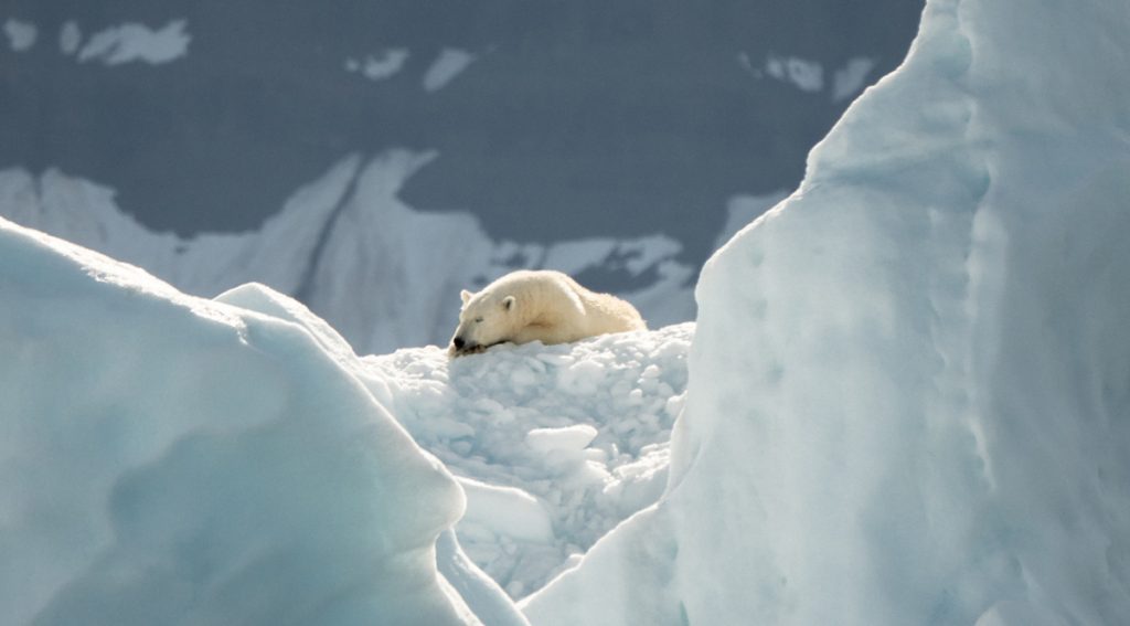 Climate Risk Index 2025